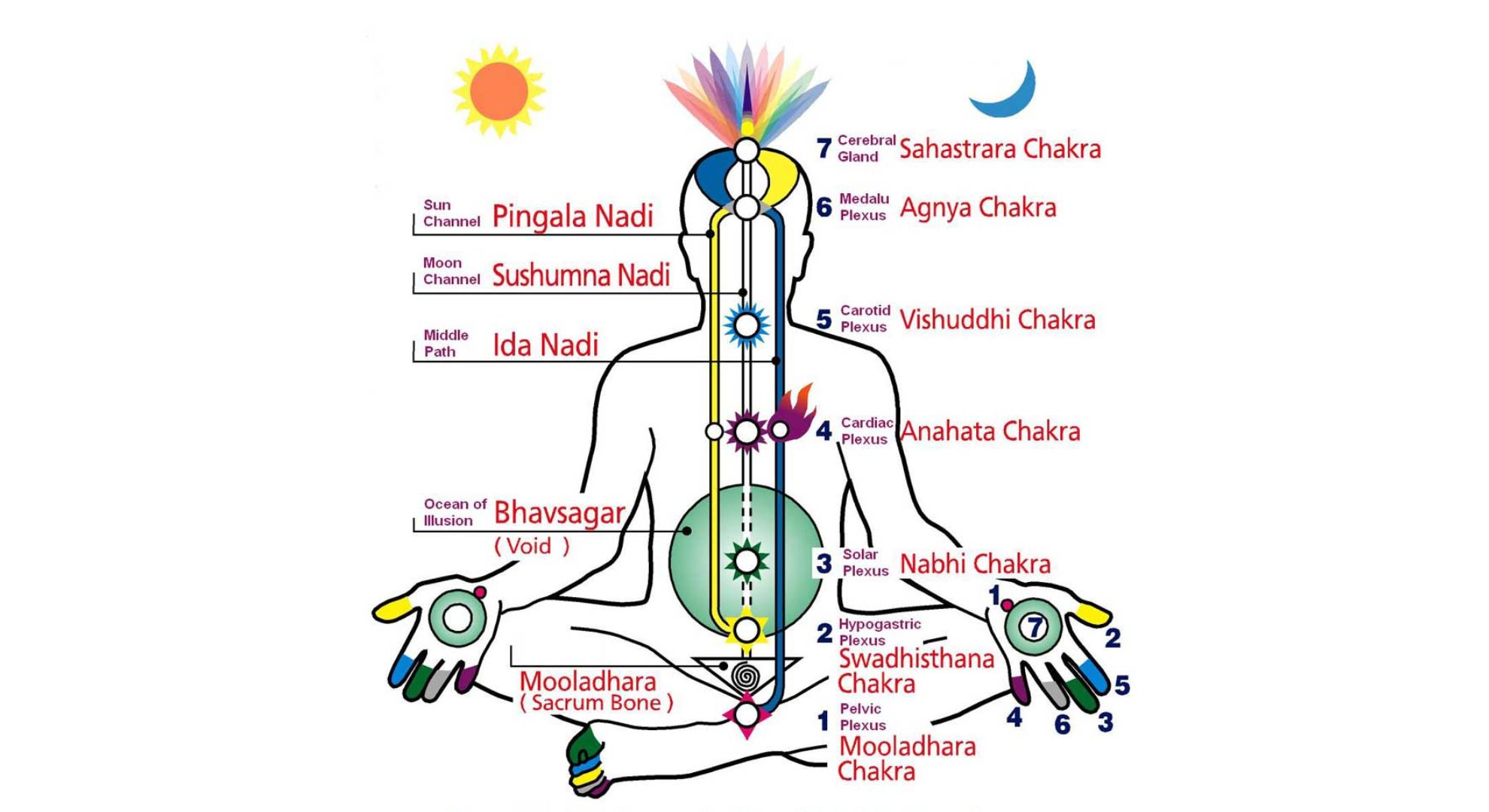 img -  kundalini despertar - Fonte: https://himalayanyoganepal.com/the-awakening-of-kundalini/